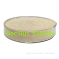 Bacillus Subtilis Soluble Water Bacillus subtilis soluble water800CFU/G feed additive Factory